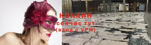 шишки Белоозёрский