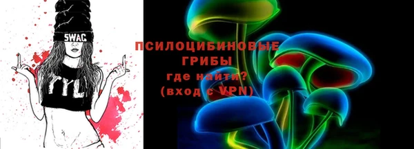 шишки Белоозёрский