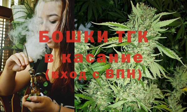 шишки Белоозёрский