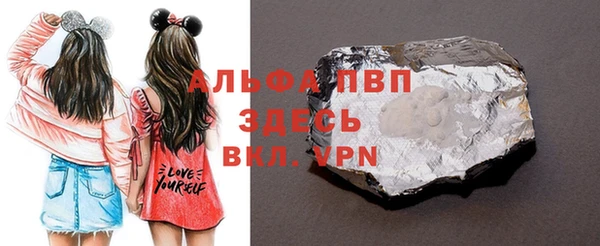 шишки Белоозёрский